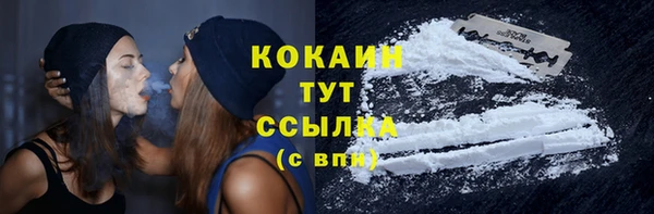 ПСИЛОЦИБИНОВЫЕ ГРИБЫ Верея