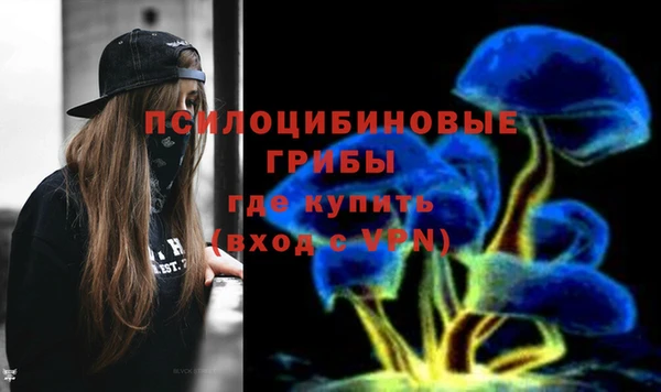 ПСИЛОЦИБИНОВЫЕ ГРИБЫ Верея