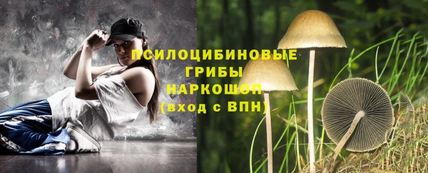 синтетический гашиш Верхний Тагил