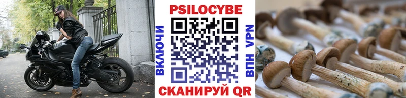 закладки  Дубна  Псилоцибиновые грибы MAGIC MUSHROOMS 